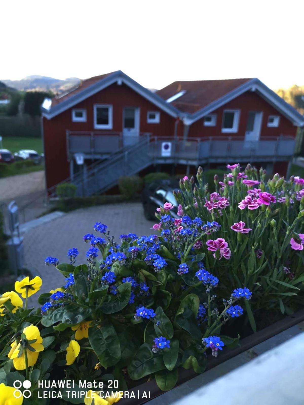 Hotel Bayerischer Wald Neukirchen (Lower Bavaria)